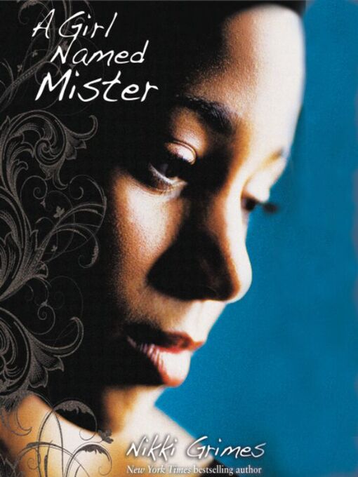 Cover image for A Girl Named Mister